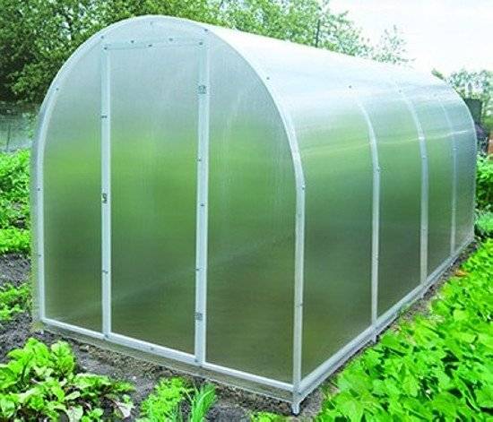 Теплица Агросфера 7ТЦ (Мини) 4м, без СПК