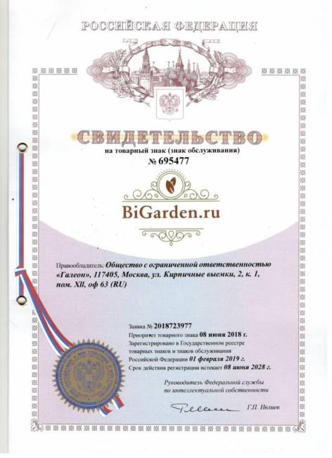 Подвесное кресло в виде капли "Tropica Black" Красная подушка