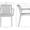 Стул обеденный DOBRIN WALTER ARM, черный (B-03)
